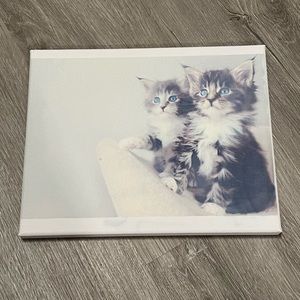 Kittens canvas